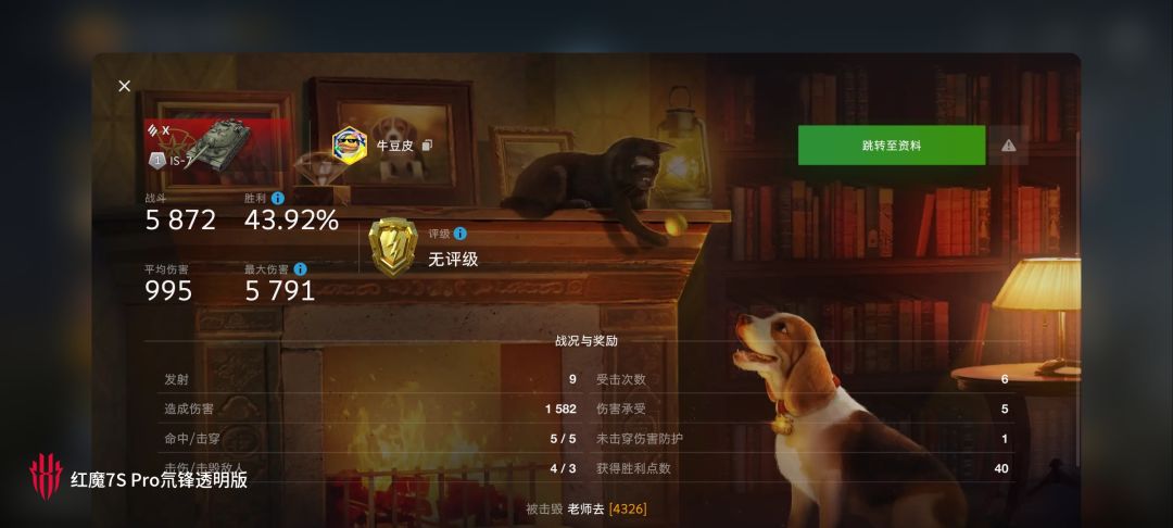 动态图片 6