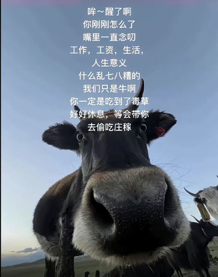 互助截图