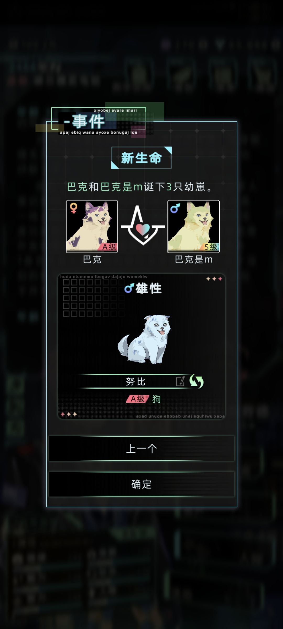 哇塞两胎都是三只狗! 3