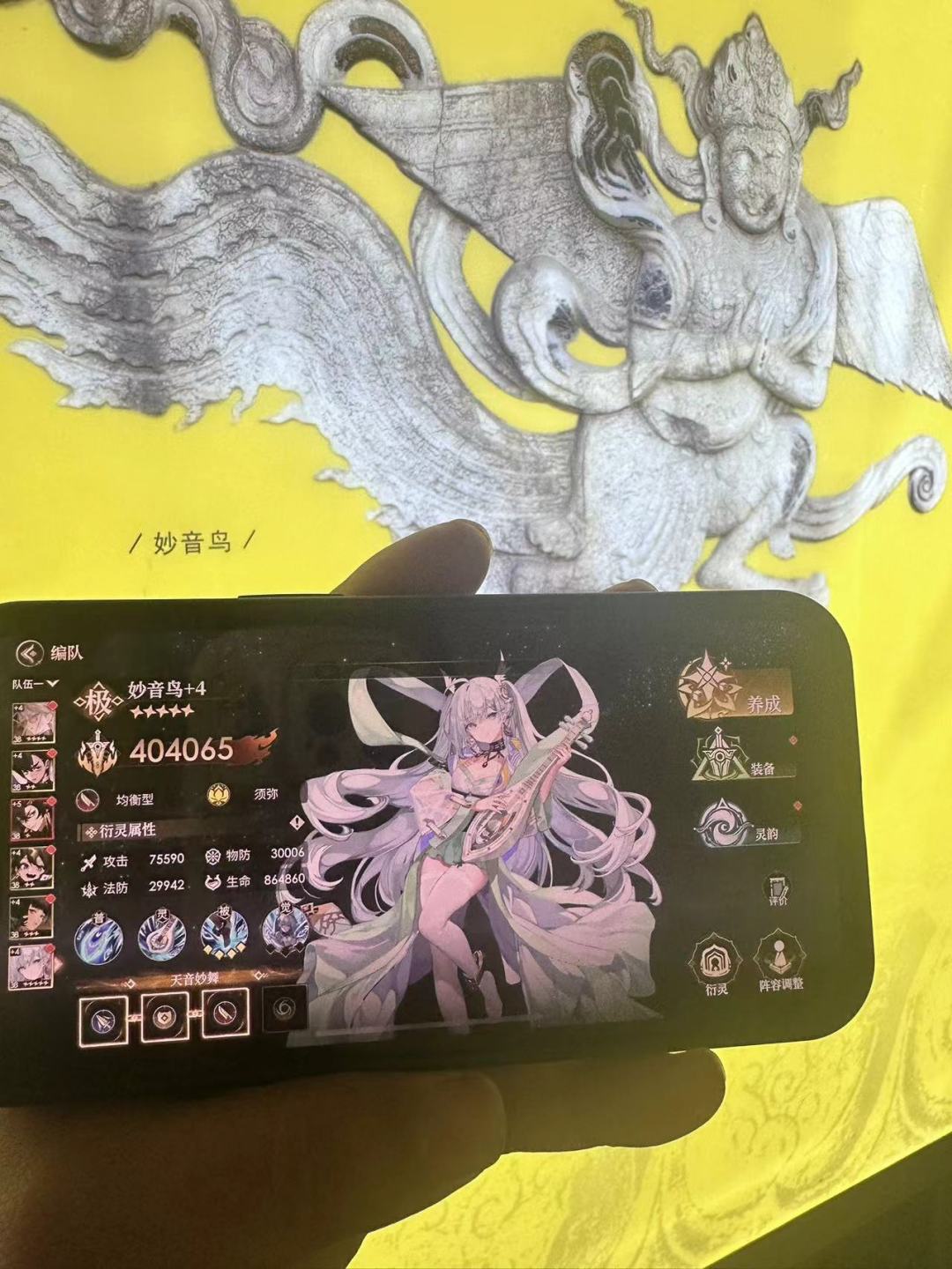 这就是妙音鸟吗 2