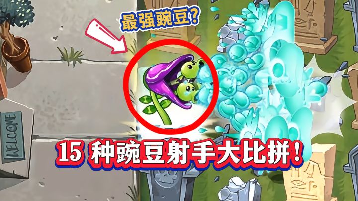 15种豌豆实测！谁才是PVZ2真正的墓碑清除王？截图