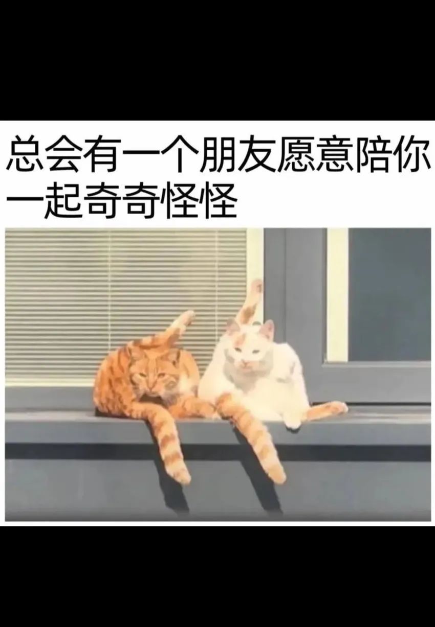 ✨今日份梗图分享第七十四期✨ 3