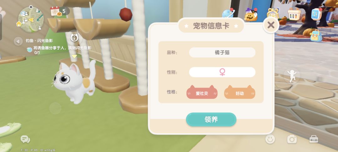 猫咪领养究极二选一 1