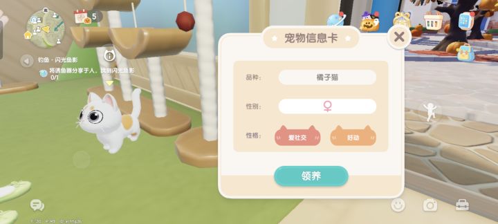 猫咪领养究极二选一截图