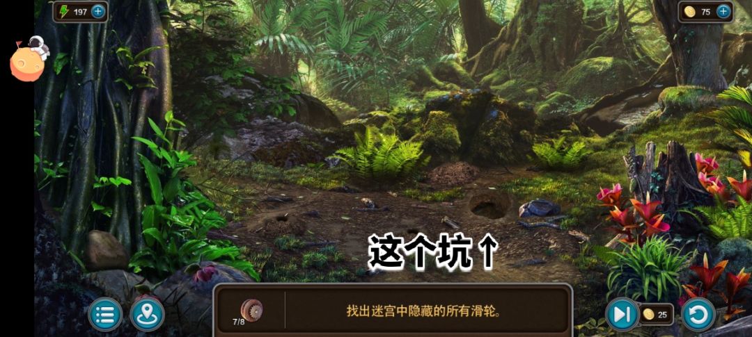 滑轮求助QAQ 2