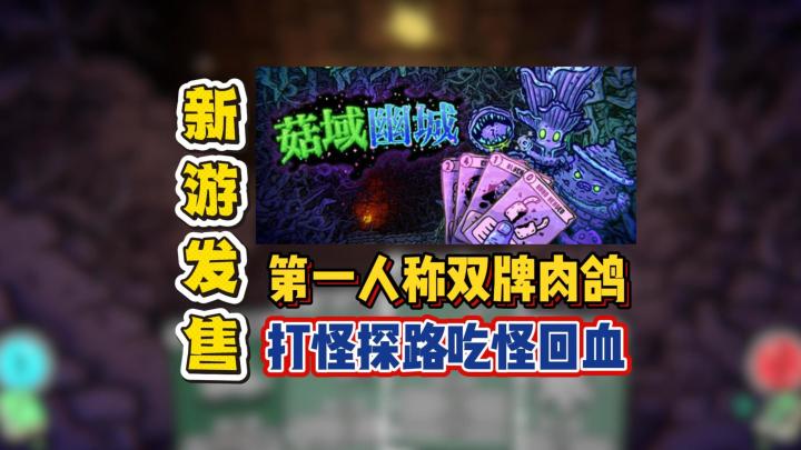 第一人称双牌肉鸽,打怪探路吃怪回血截图
