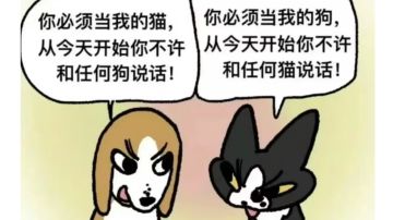 灭坏！堂堂连载！