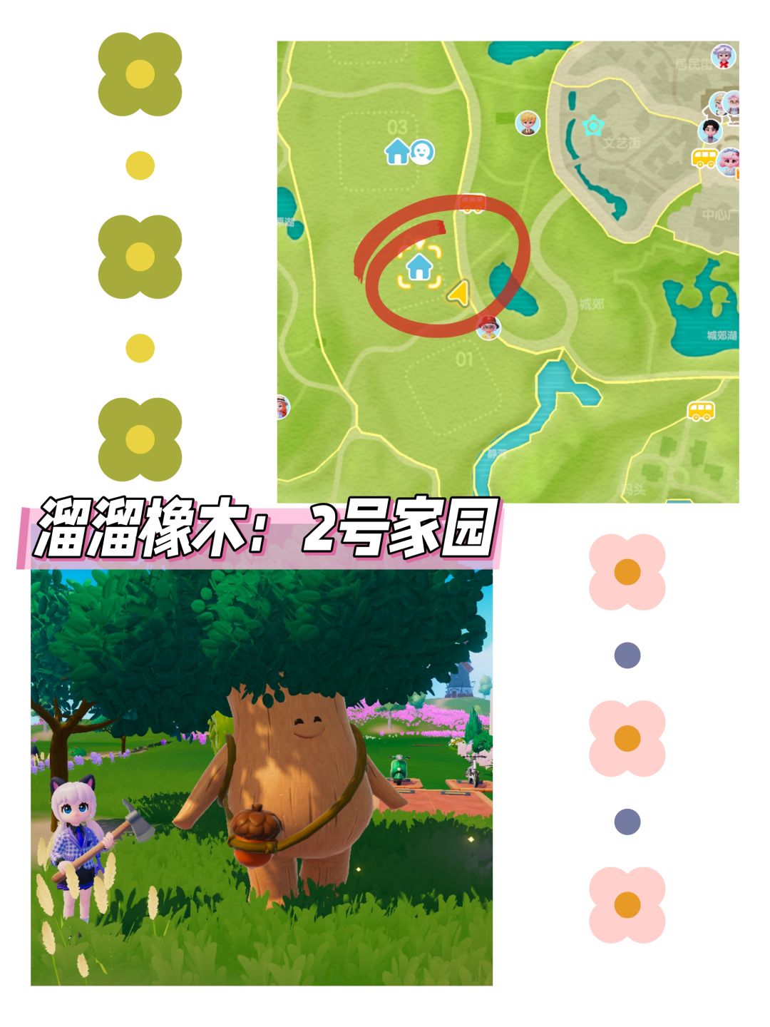心动小镇日报(11.19)溜溜橡木+无暇萤石 3