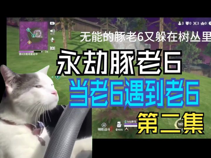【第二集】当老6遇到老6,豚老6的结局是……?【猫meme】截图