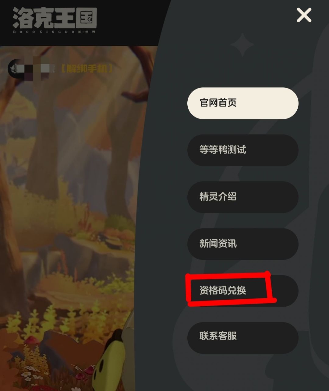 一些被发出来的资格兑换码 1