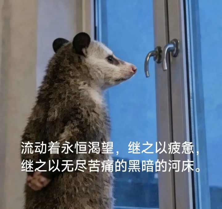 生病真痛苦截图