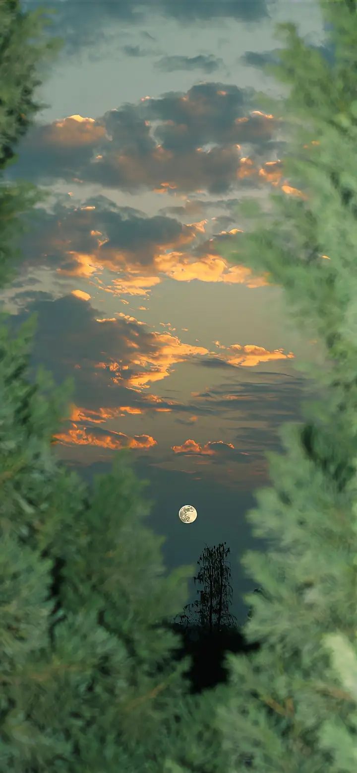 许愿个雨人 1