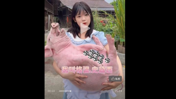 进化宠大哥还得是耳鼠!截图