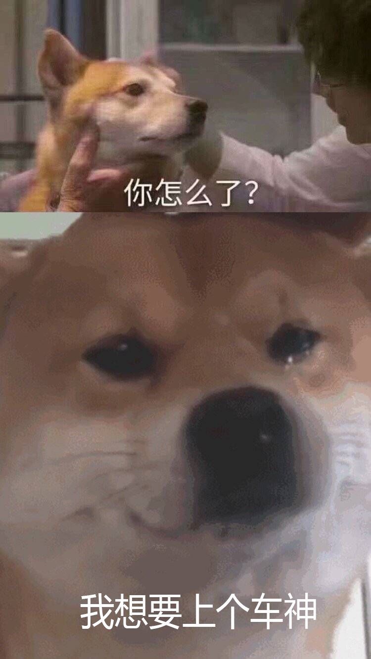 动态图片 4