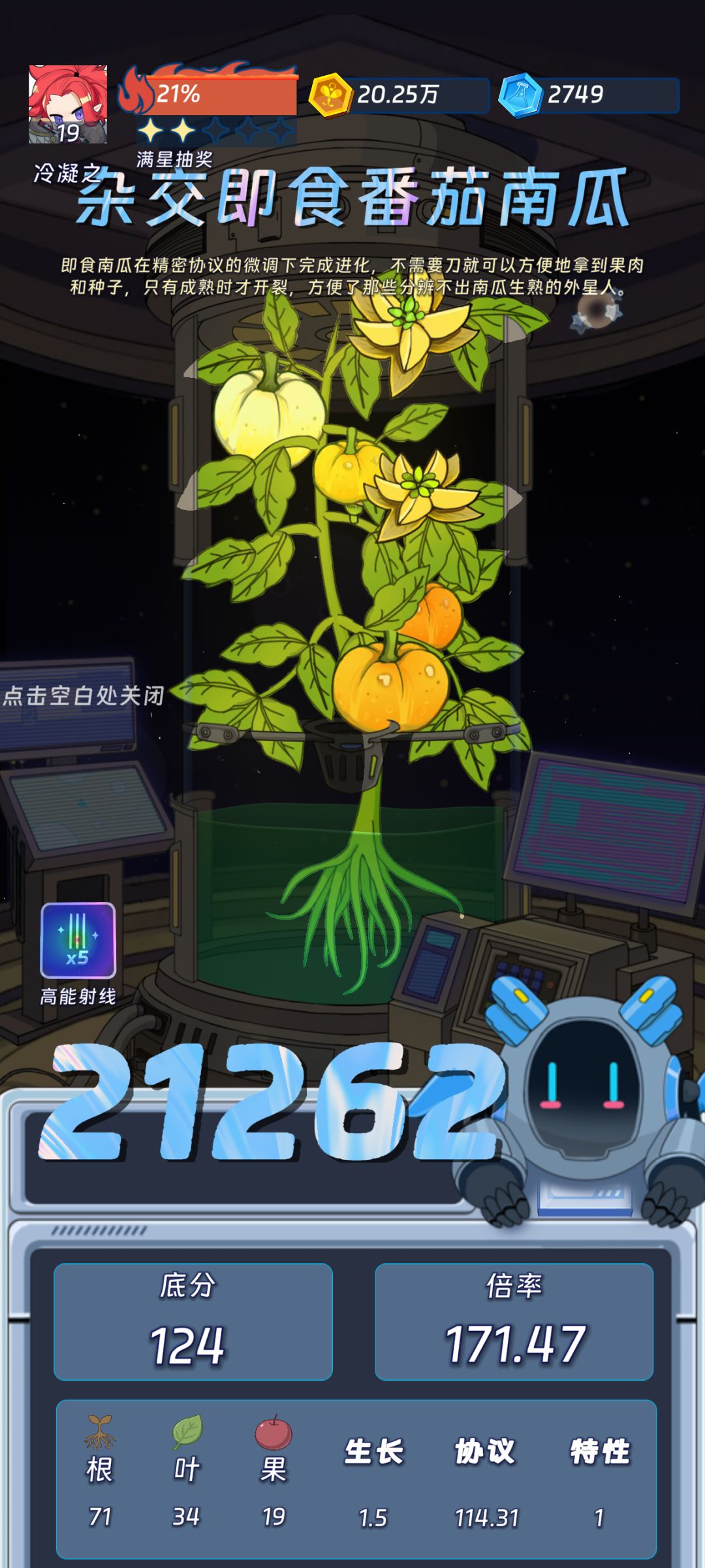 杂交即食番茄南瓜 1