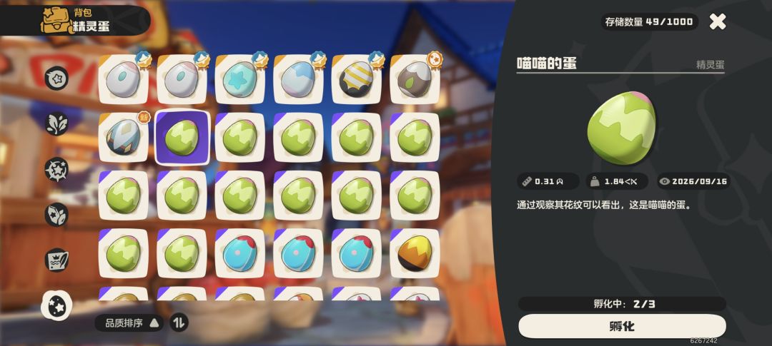 喵喵 5