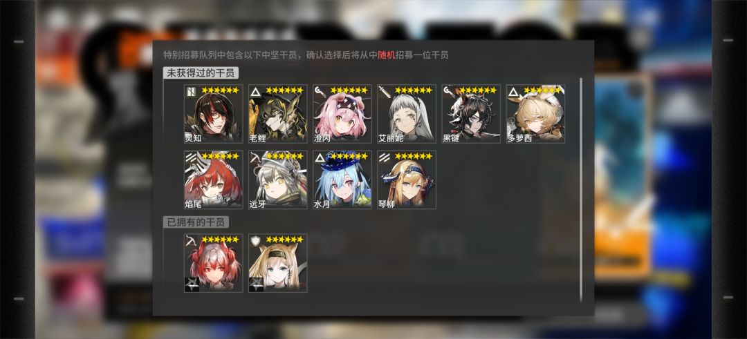 特别招募选什么 4