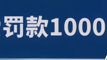 回归服开区建议①（请配合萌新攻略食用）