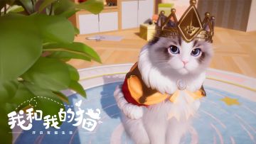 🔥应该没有人能拒绝这么可爱的猫猫吧！