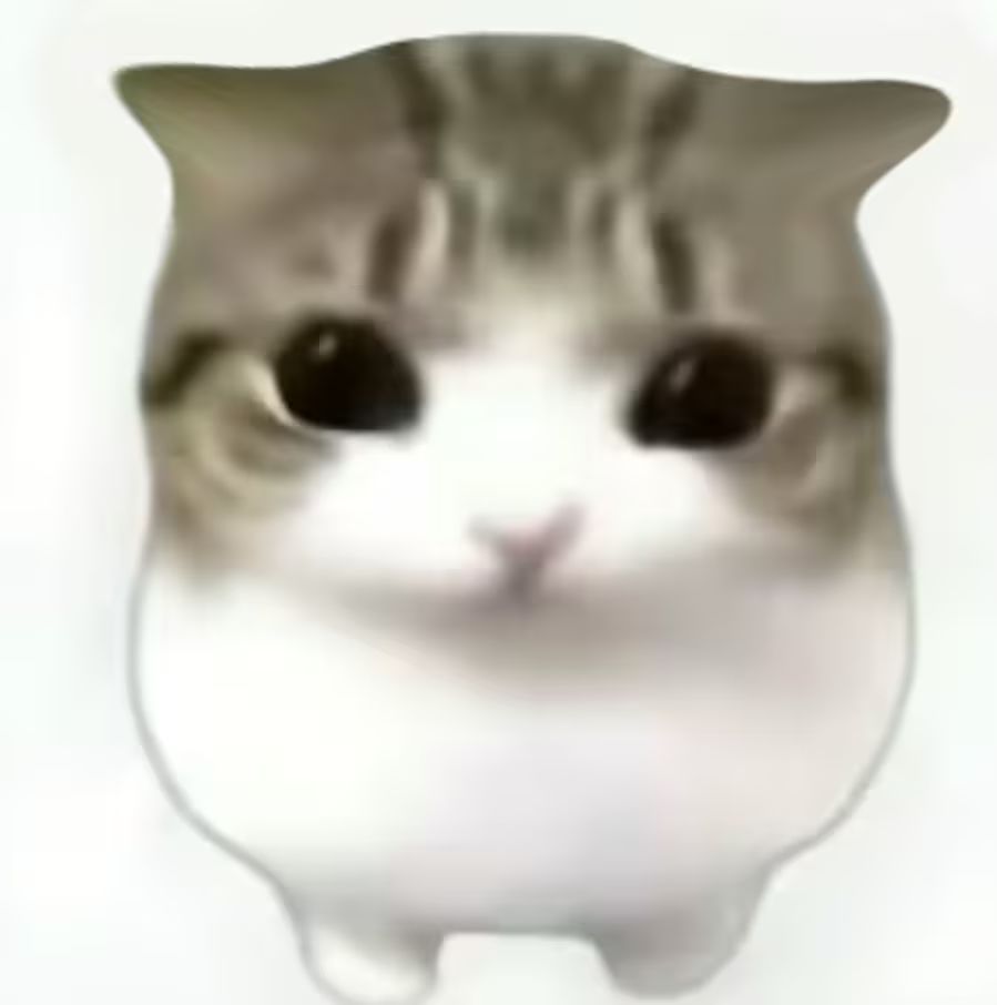 妙脆角小猫😚 1