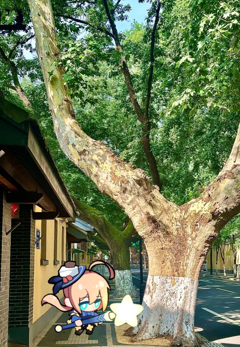 皮卡出游记 2