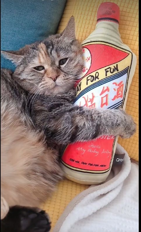 ? 1