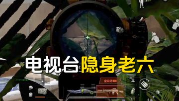 这也太隐蔽了吧！S15电视台隐身老六点位！