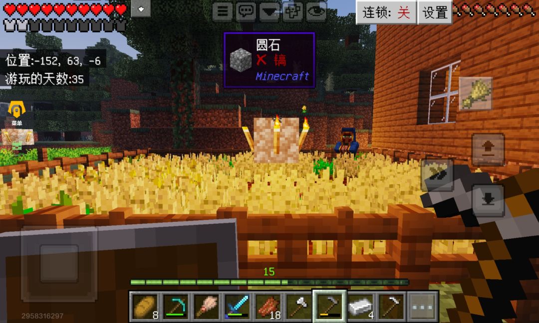给你们看看我种的菜! 1