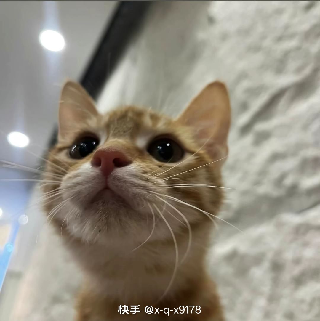 六个 2