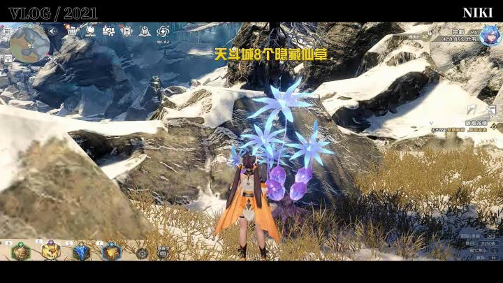 斗罗大陆猎魂世界:天斗城8棵隐藏仙草截图