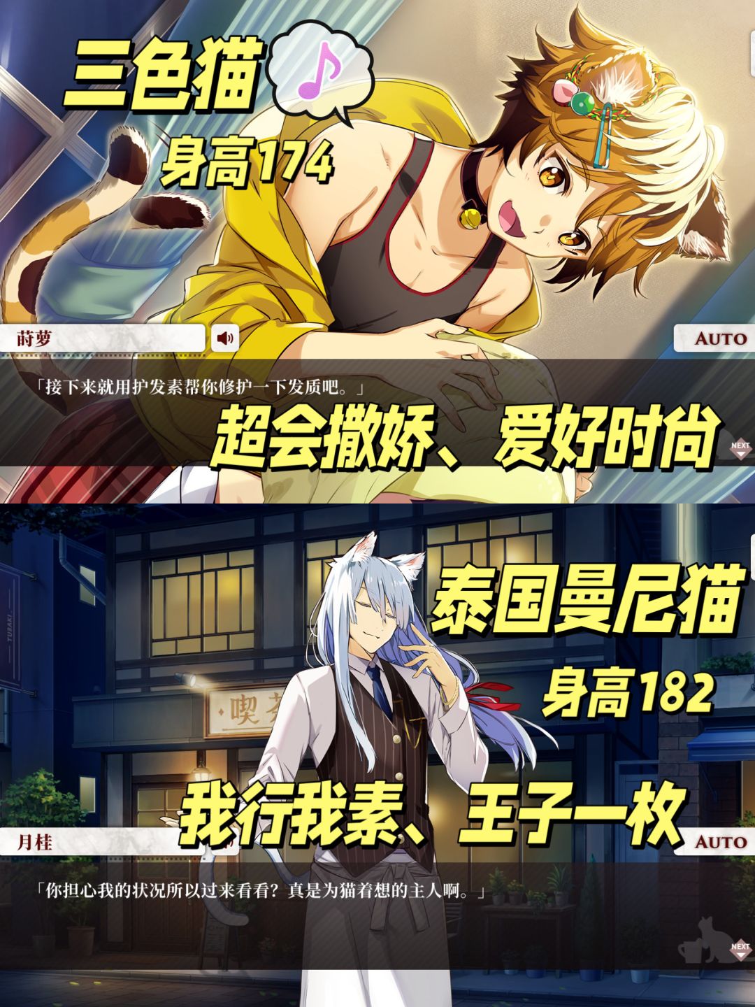 人形猫男‼️免费乙女游戏它真的香 3