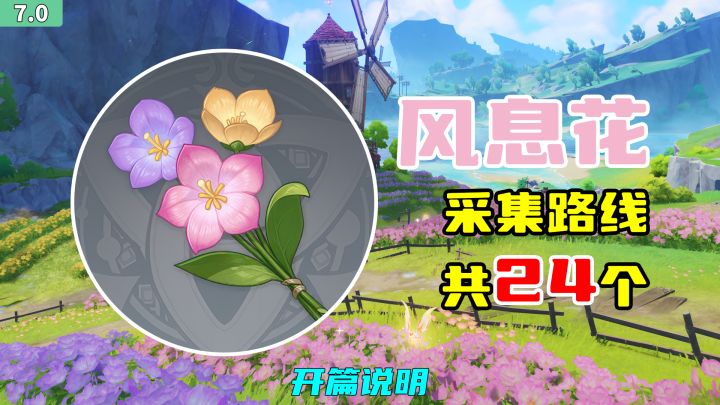 【原神】风息花采集路线（24个）截图