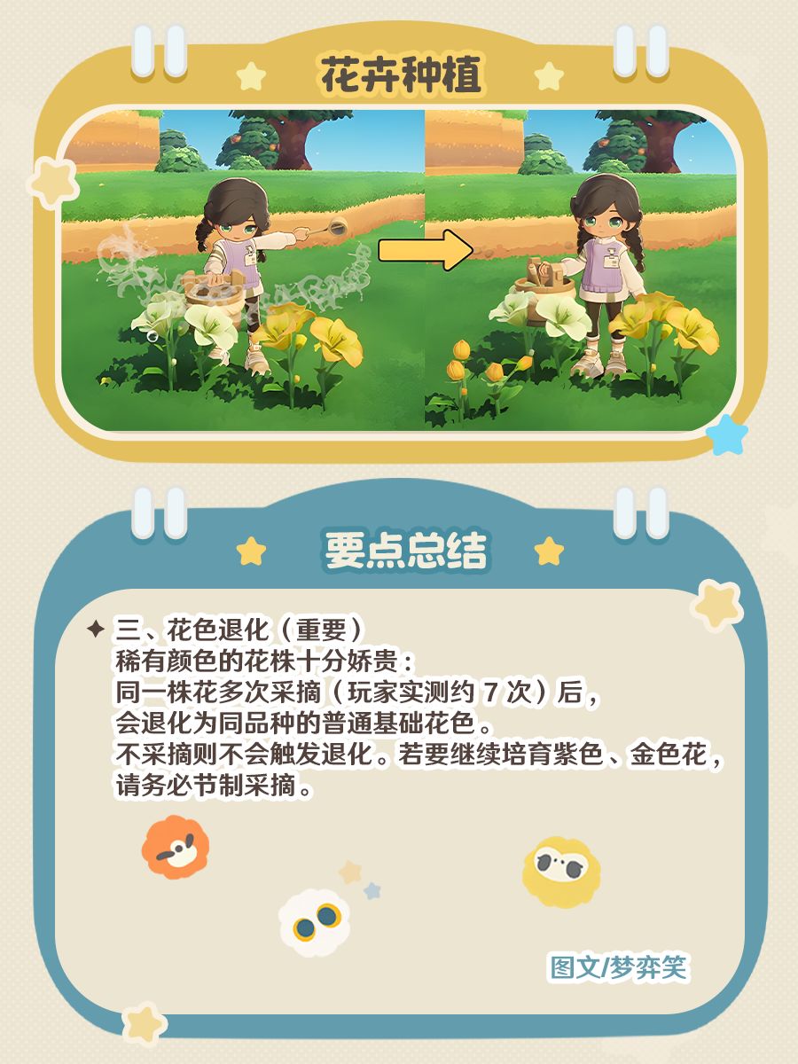 「星布谷地」异色花要点总结 4
