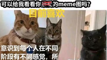 来“电”沙雕图#61