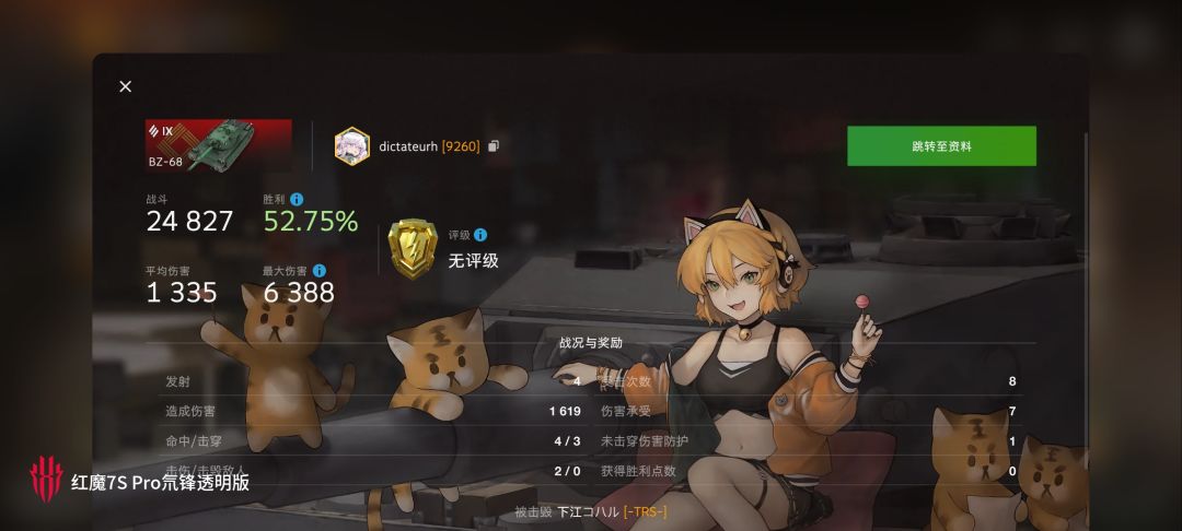 动态图片 11