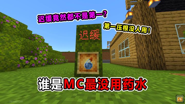 谁是MC最没用的药水!迟缓竟然都不是最拉?第一实至名归!截图