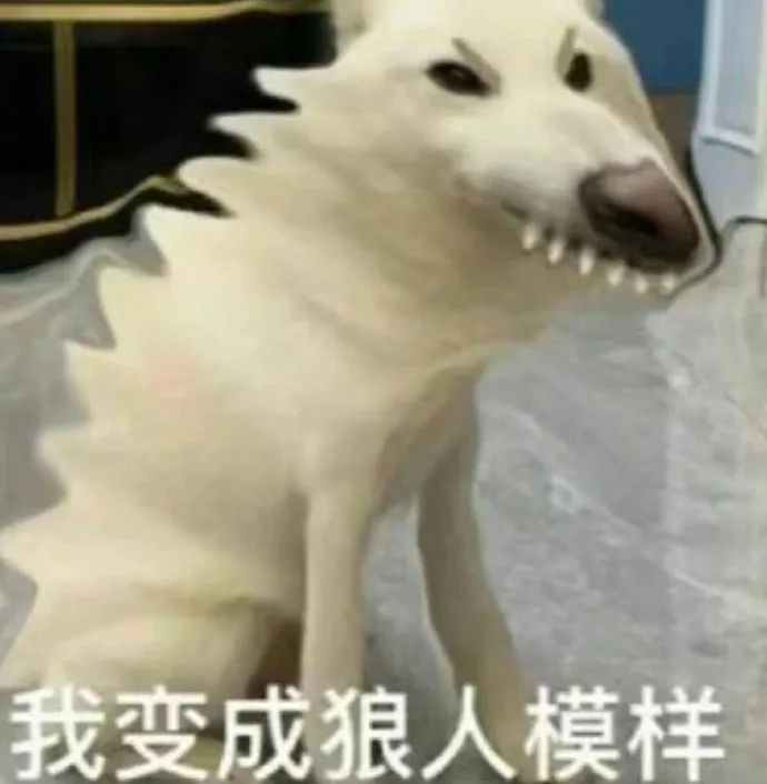 雾苑奇遇什么路线 2