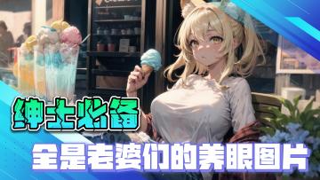 绅士必备游戏，全是老婆们的养眼图片