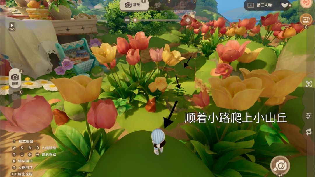 星花树|打卡点位分享 4