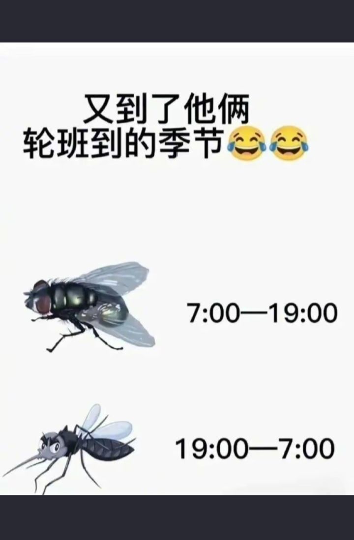 宝藏游戏又又又送皮肤啦截图