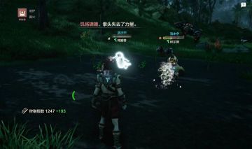 说真的这个玛卡系统和帕鲁有的一拼嗷