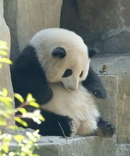 宝藏游戏又又又送皮肤啦截图