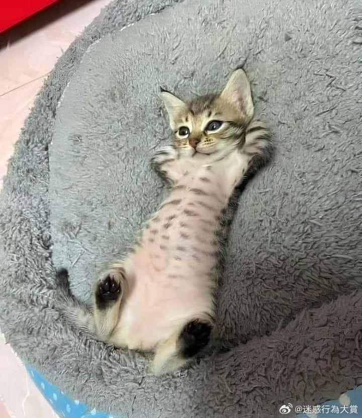 姐妹们帮帮我截图