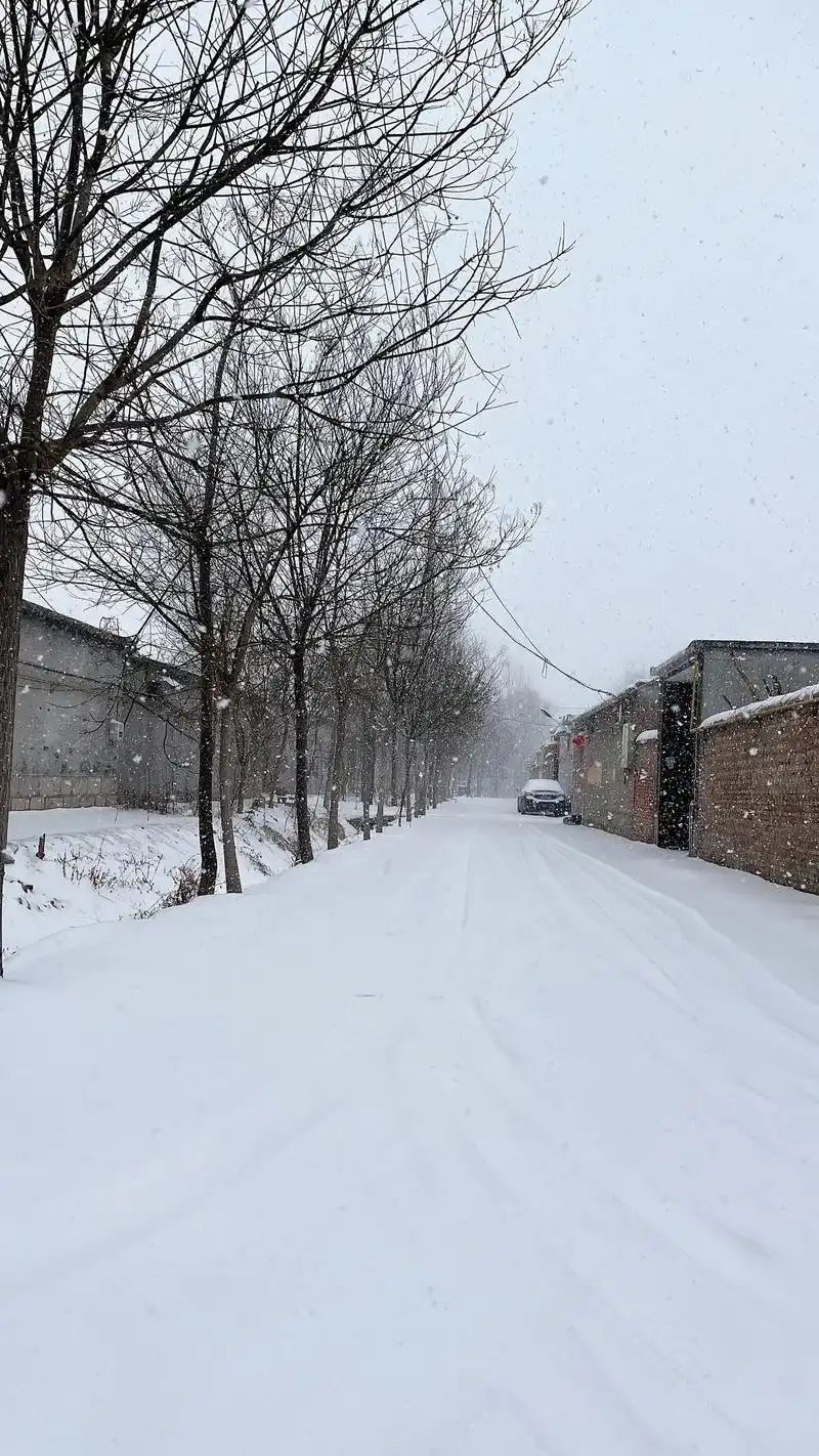 下雪喽，冬天你好 7