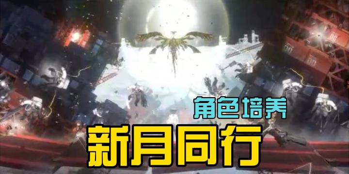 【新月同行】红袍龙井音希朝颜配对还挺不错,可以入手截图