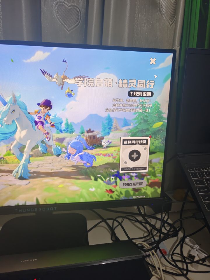 五一可以等新宠放进去吗截图