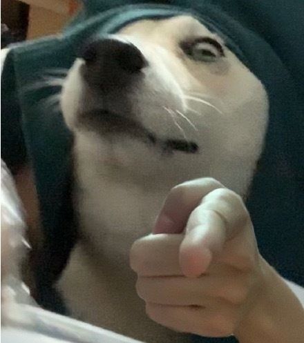 能把那个决斗小镇增加个开关吗? 1