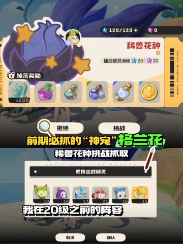 错过了喵喵，这还有“格兰花”品质极高！