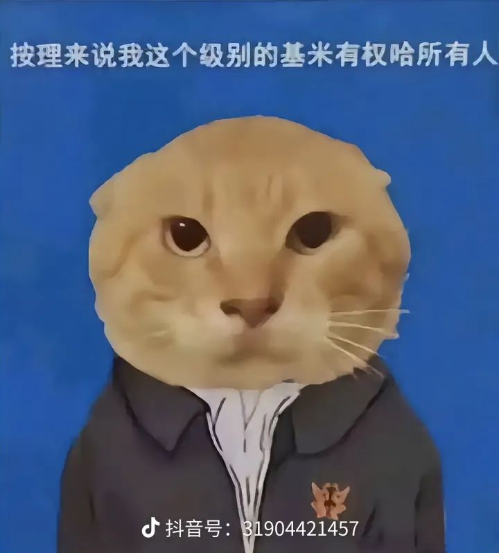 一看实机画面是AI对话就不想玩截图