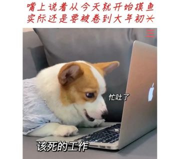 （已开奖）新春活动 | 三年之期已到，终于可以放飞自我了！